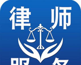 專業(yè)法律糾紛代理服務(wù)解析